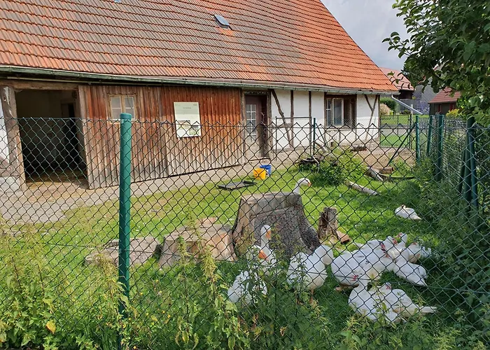 Brockenbauer Lejlighed *